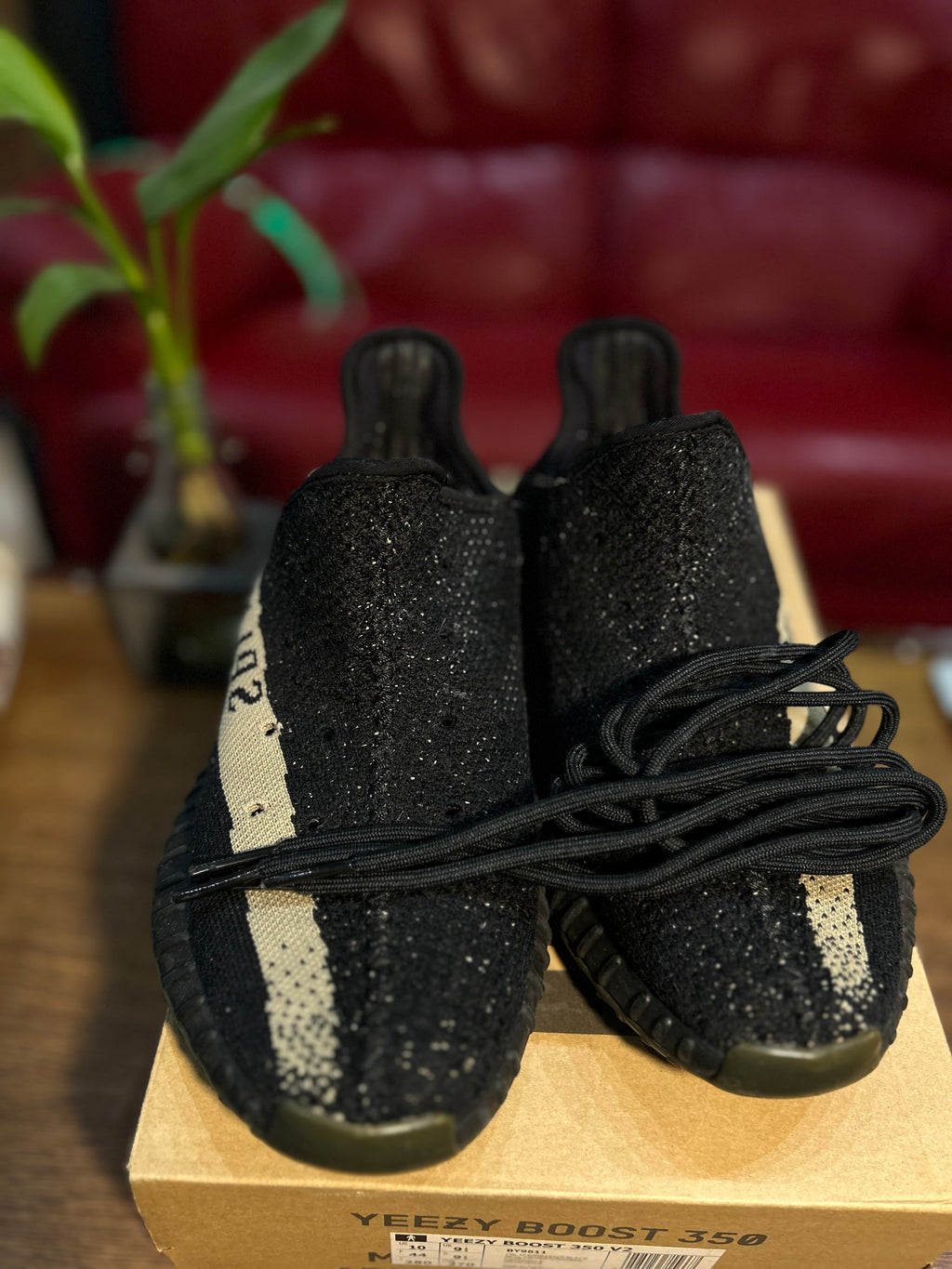 Yeezy Boost 350 v2